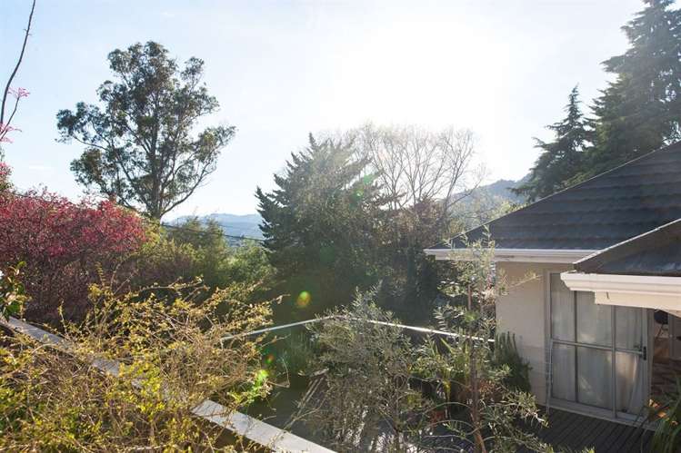 39c Jenner Road Toi Toi_12