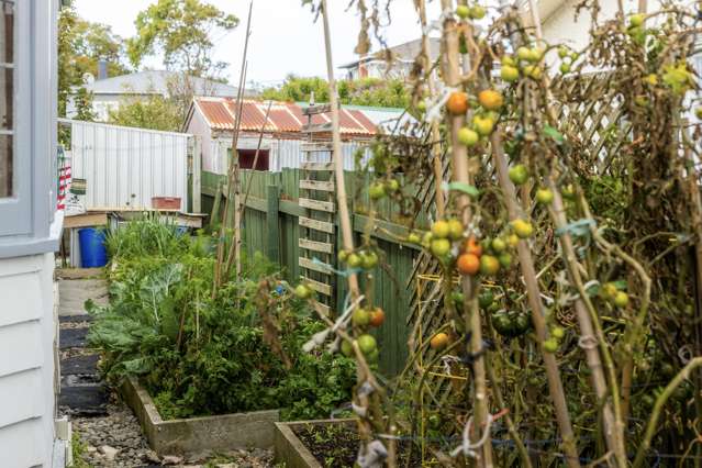 25 Kawatiri Avenue Gonville_4