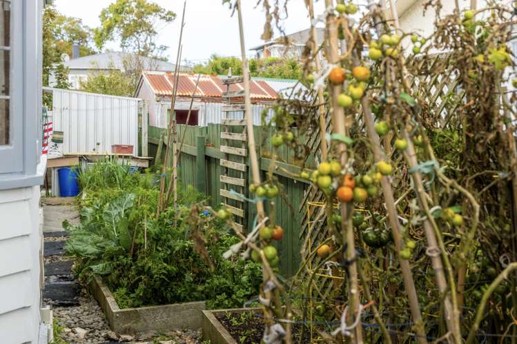 25 Kawatiri Avenue_3