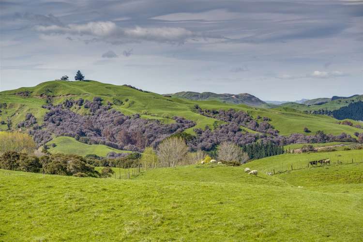 Glengarry Road Hastings Country_11