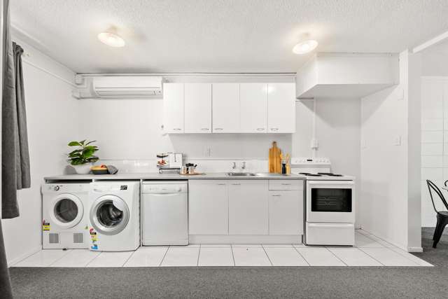 11g Britannia Street Petone_4