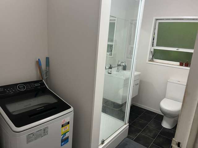 170E Queen Street Northcote Point_4