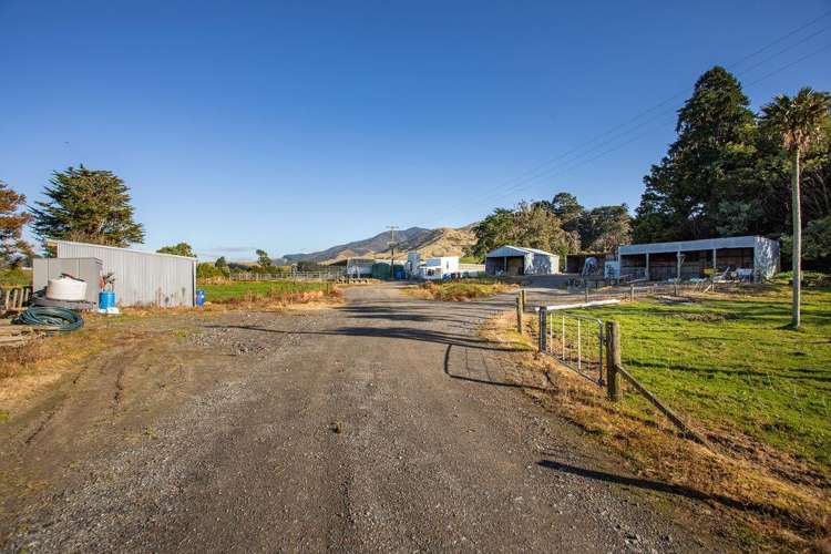 454 Parkville Road Eketahuna_5