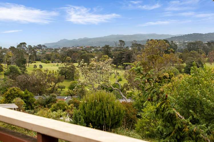 26 Katavich Place Mount Roskill_6