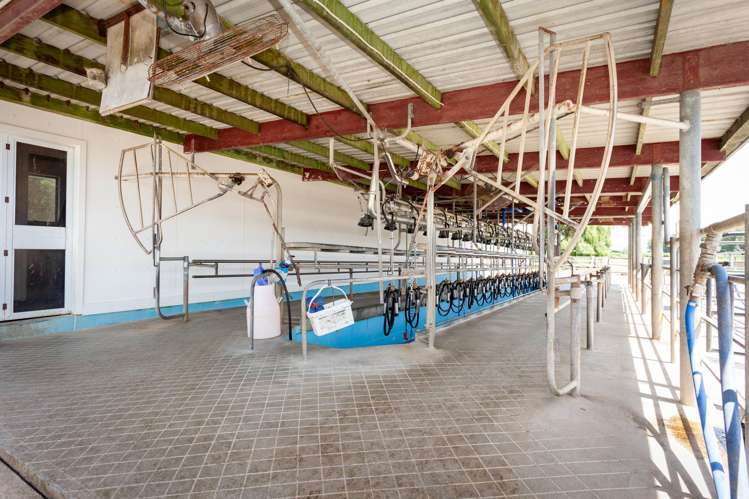 406 Manhire Road Morrinsville_26