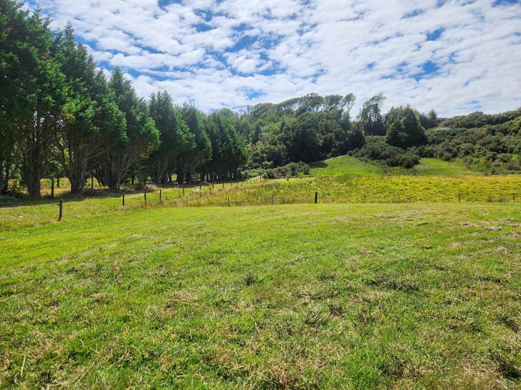 141 Taylorville Road Coal Creek_24