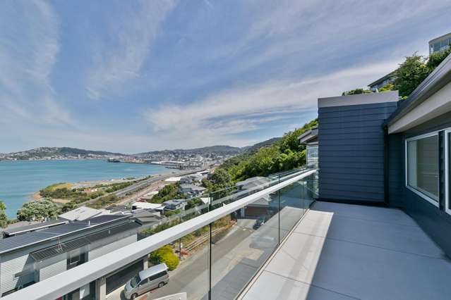 12 Brasch Way Kaiwharawhara_1