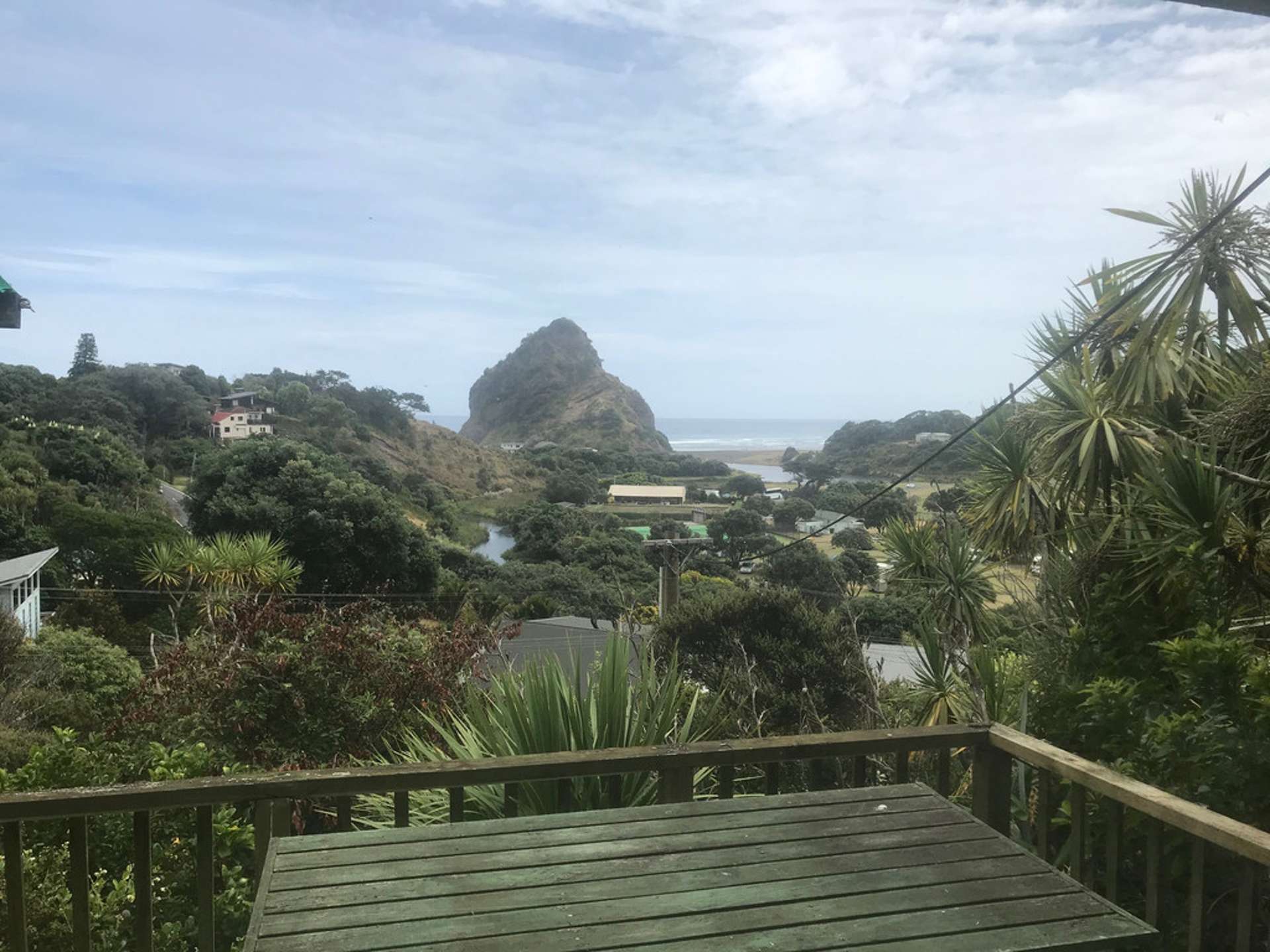 60 Seaview Road Piha_0