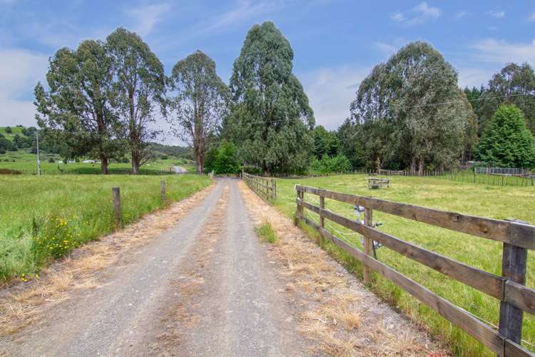 Taringamotu Road Taumarunui_18