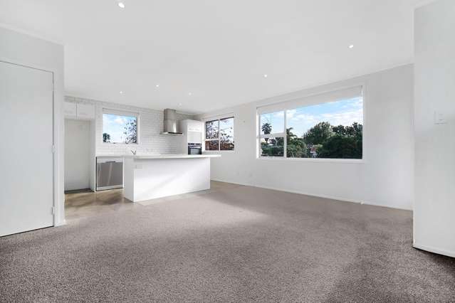 1/9 Ranier Street 1660_2