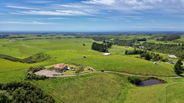 412 Engelbrechts Road Hunter_30