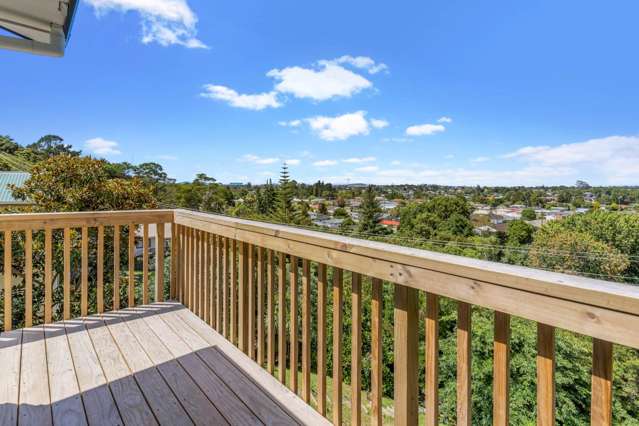 51 Don Buck Road Massey_1