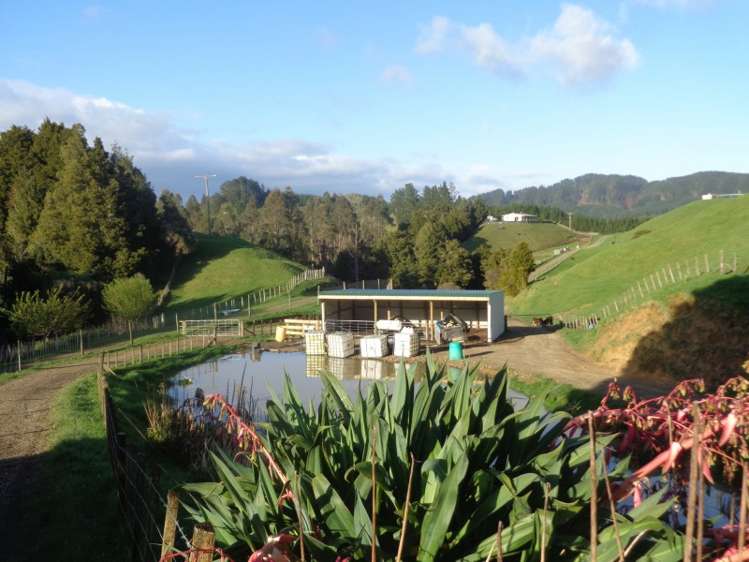 667 Stanley Road Wainui_8