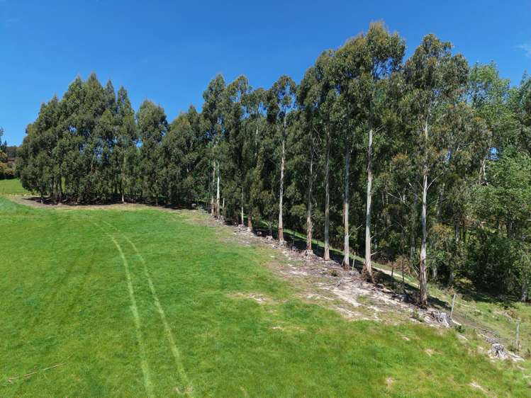 6 Braeside East Taieri_9