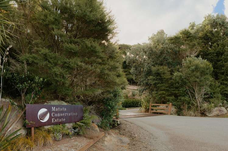 201 Kokako Heights Matata_8