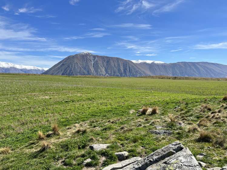 Lagoon Block, Ohau Downs Station Lake Ohau_7