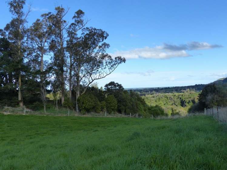 Whitneys Road Waimate_11