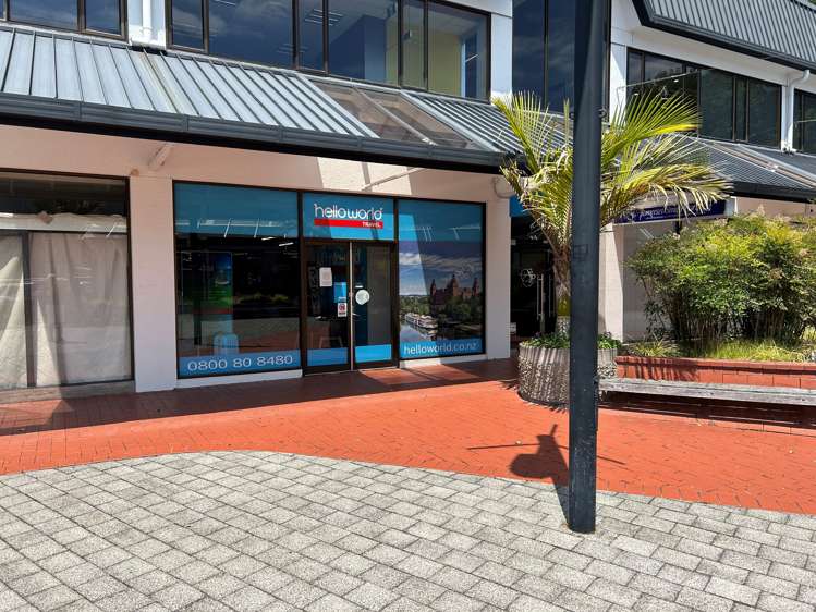 21 Station Street Napier Cbd_5