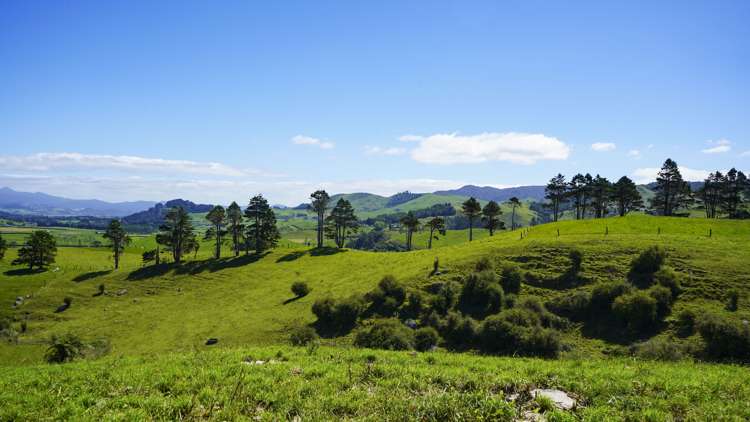 729 Waihi Whangamata Road Waihi_14