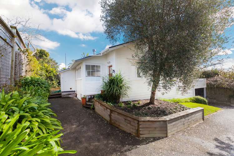 66b Sackville Street Grey Lynn_21