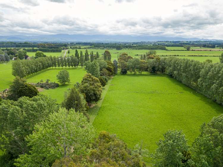 312 Watsons Road Masterton_18