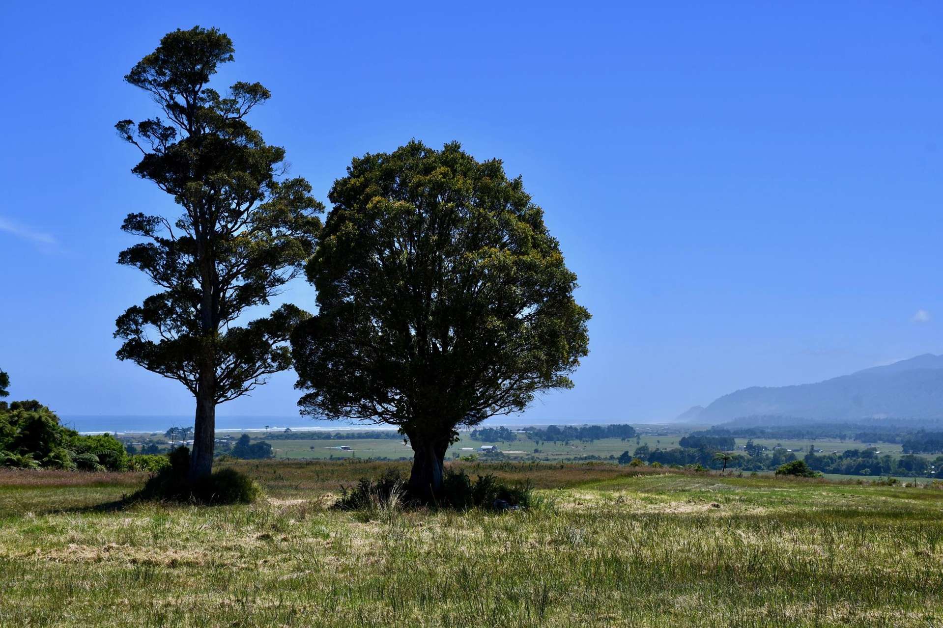 Lot 5 South Terrace Road Karamea_0