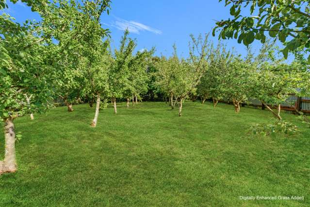 14C Smith Street Waimate_3