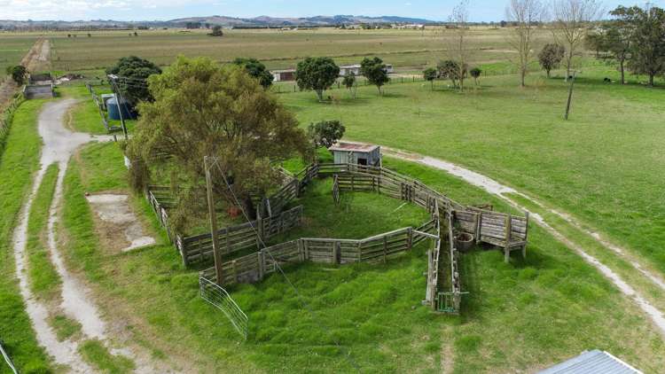 76 Robertson Road Ruawai_11