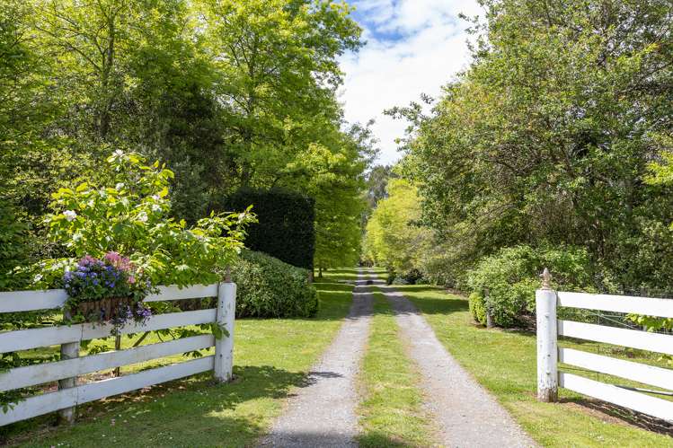 754 Norfolk Road Upper Plain_5