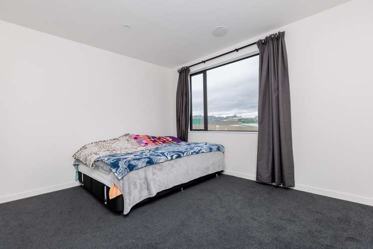 27 Ara Paiwhenua Tawa_7