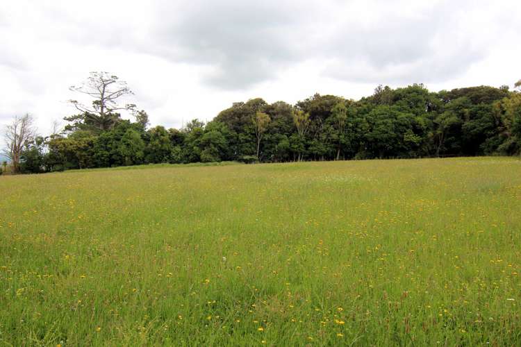 443b Murray Road Pukekawa_14