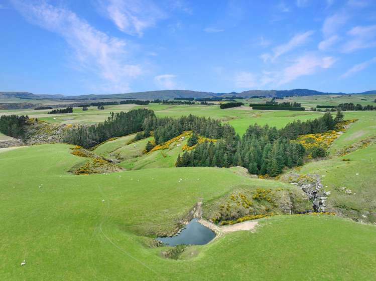 267 (Farm) Wehenga Road Hindon_7