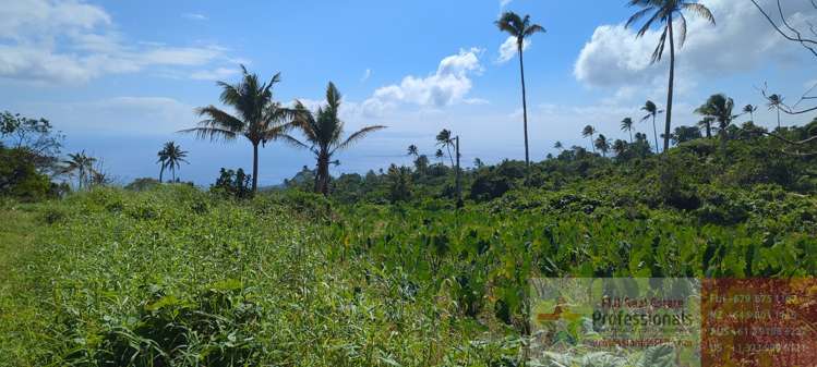 Address withheld Taveuni_27