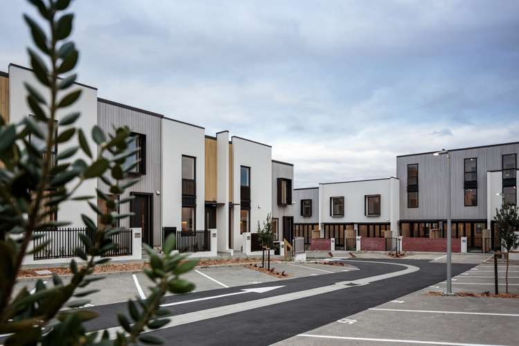 25 Hadlow Terrace Grey Lynn_16