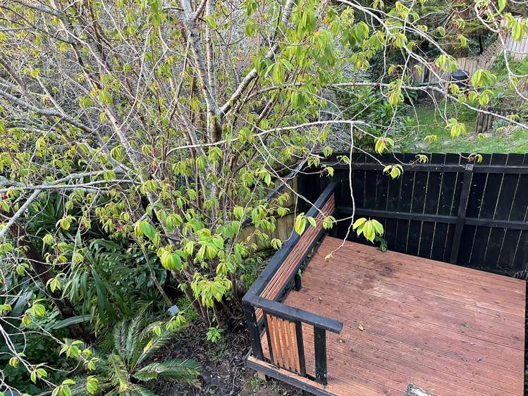 19 Golf Road New Lynn_24