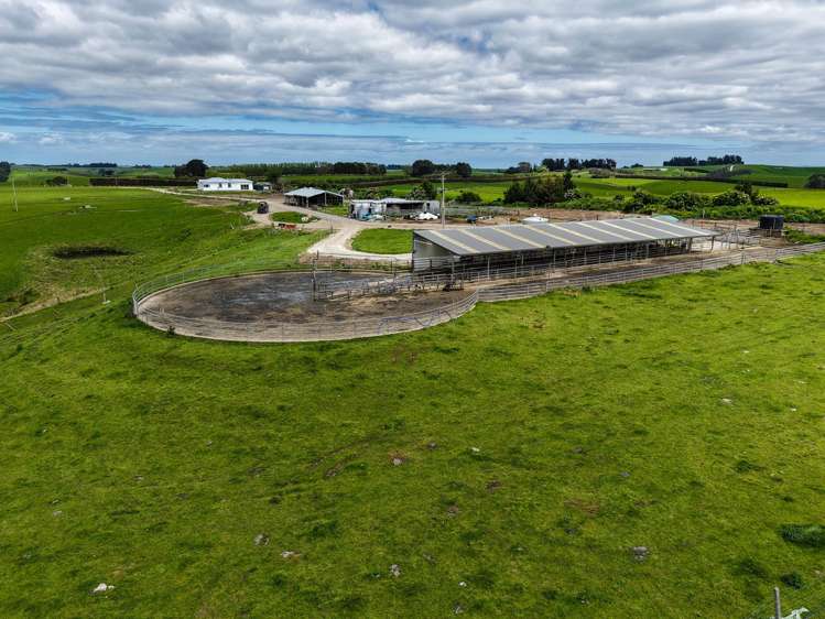 1532 Wyndham Letterbox Road Mataura Island_5