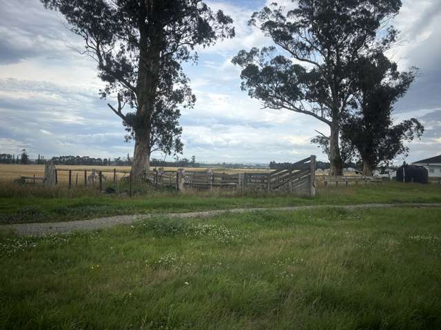 215 Falvey Road Levels_3