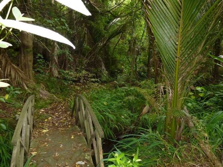 315 Opoutere Road Opoutere_14