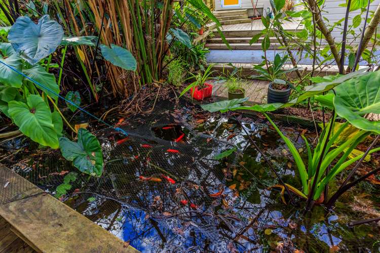 54 Gladys Avenue Glenfield_6