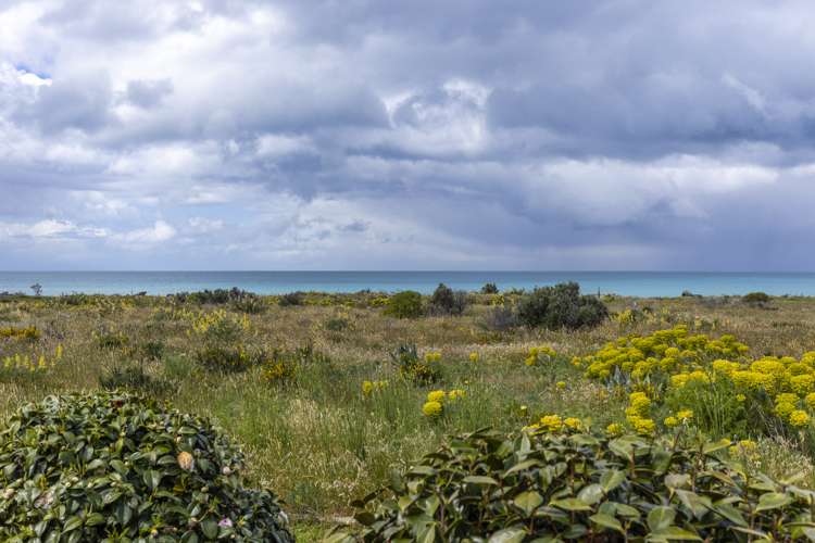 150 Rarangi Beach Road Rarangi_18