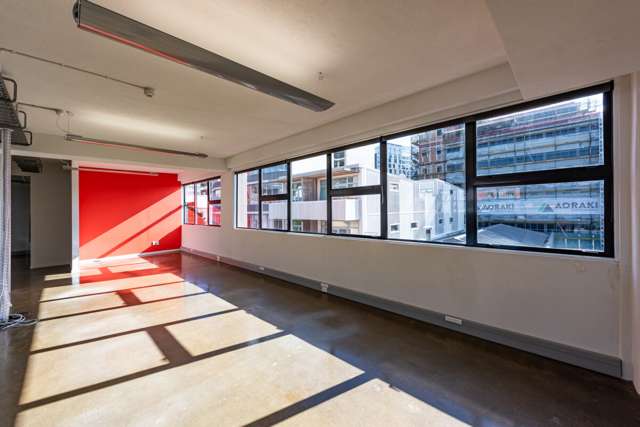 17-19 Garrett Street Te Aro_2