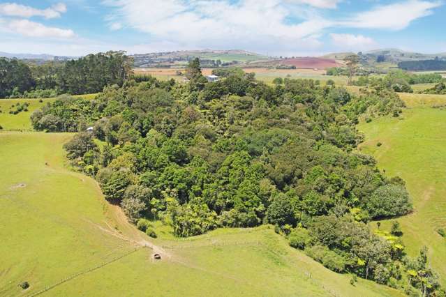 151a Beaver Road Pukekohe East_2