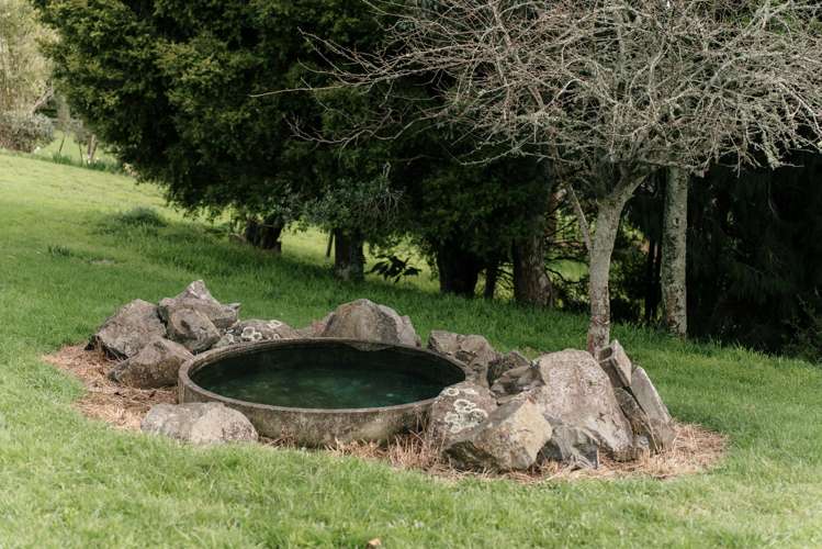 528 Ponga Road Opaheke_55