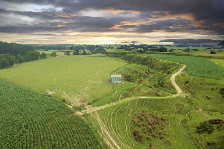 159 Koputaroa Road Levin_4