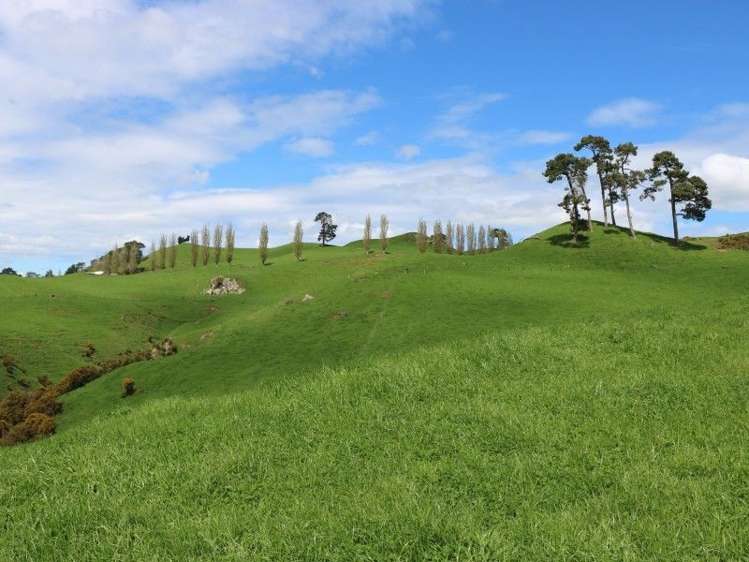 196 Hildreth Road Arapuni_36