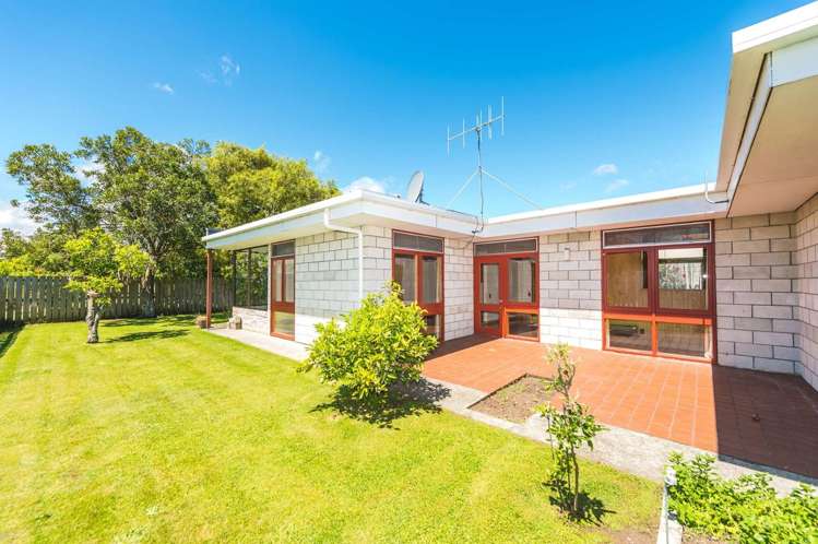 55A Jellicoe Street 1236_18