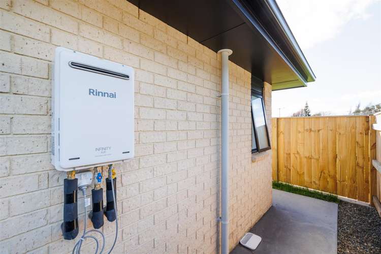 53 Hereford Street Marton_21