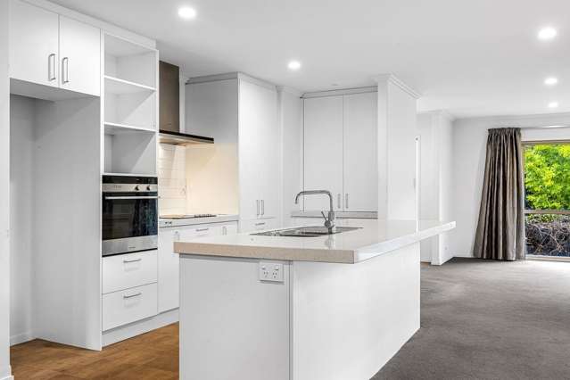 3 Pukeuri Lane Hillsborough_3