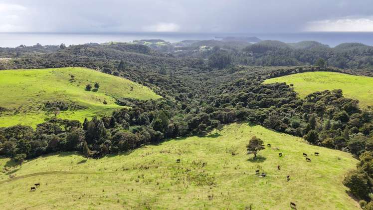 1070a Wainui Road Kaeo_5