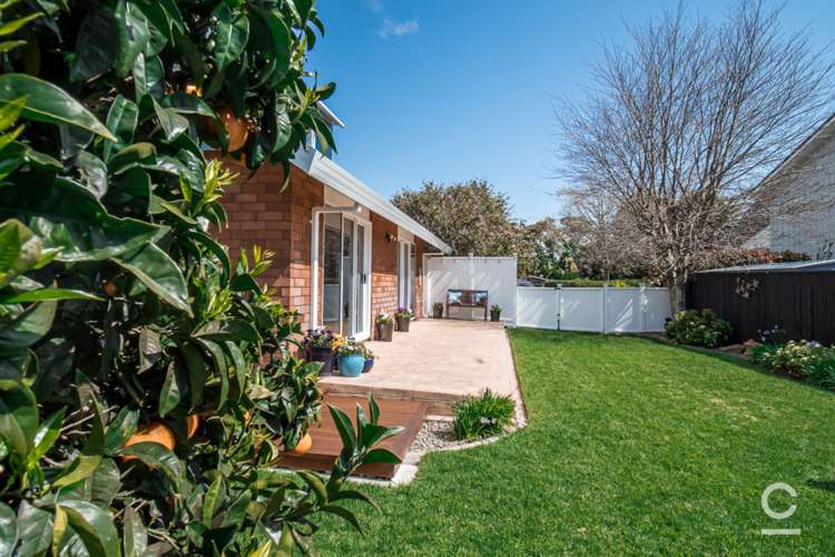 77 Matua Road Matua_20
